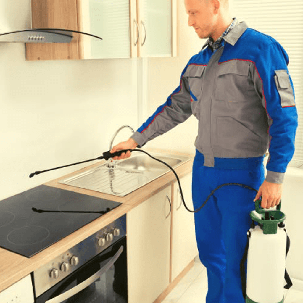 best-pest-control-reviews-in-perth