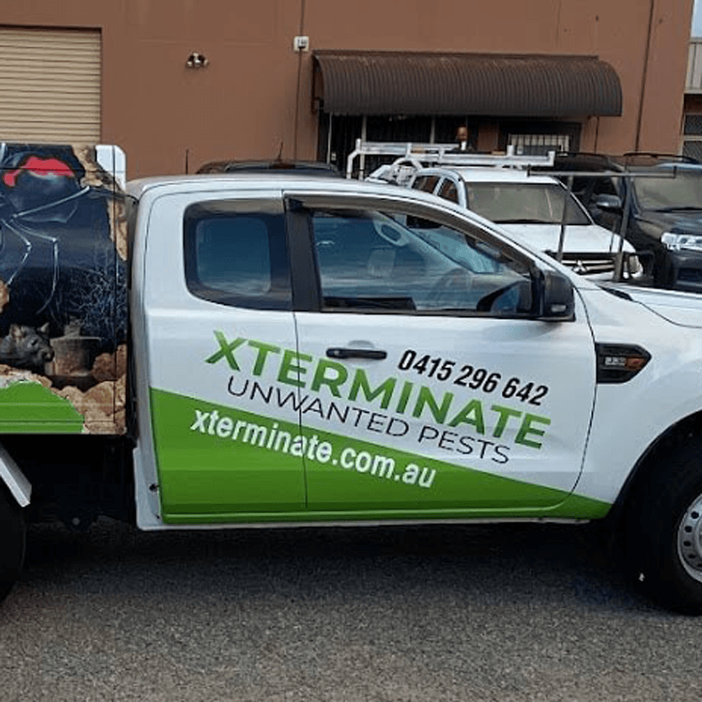 pest-control-experts
